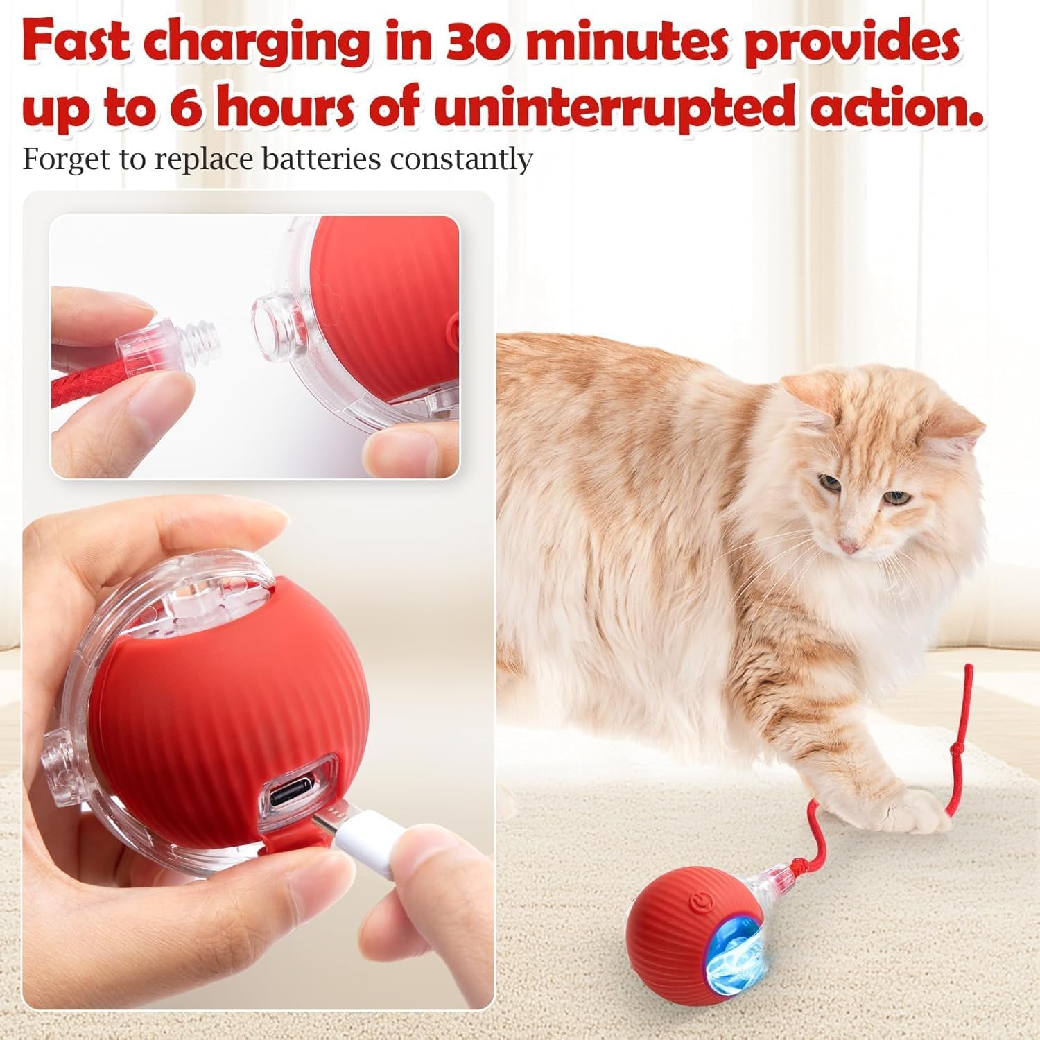 Interactive Cat Toy